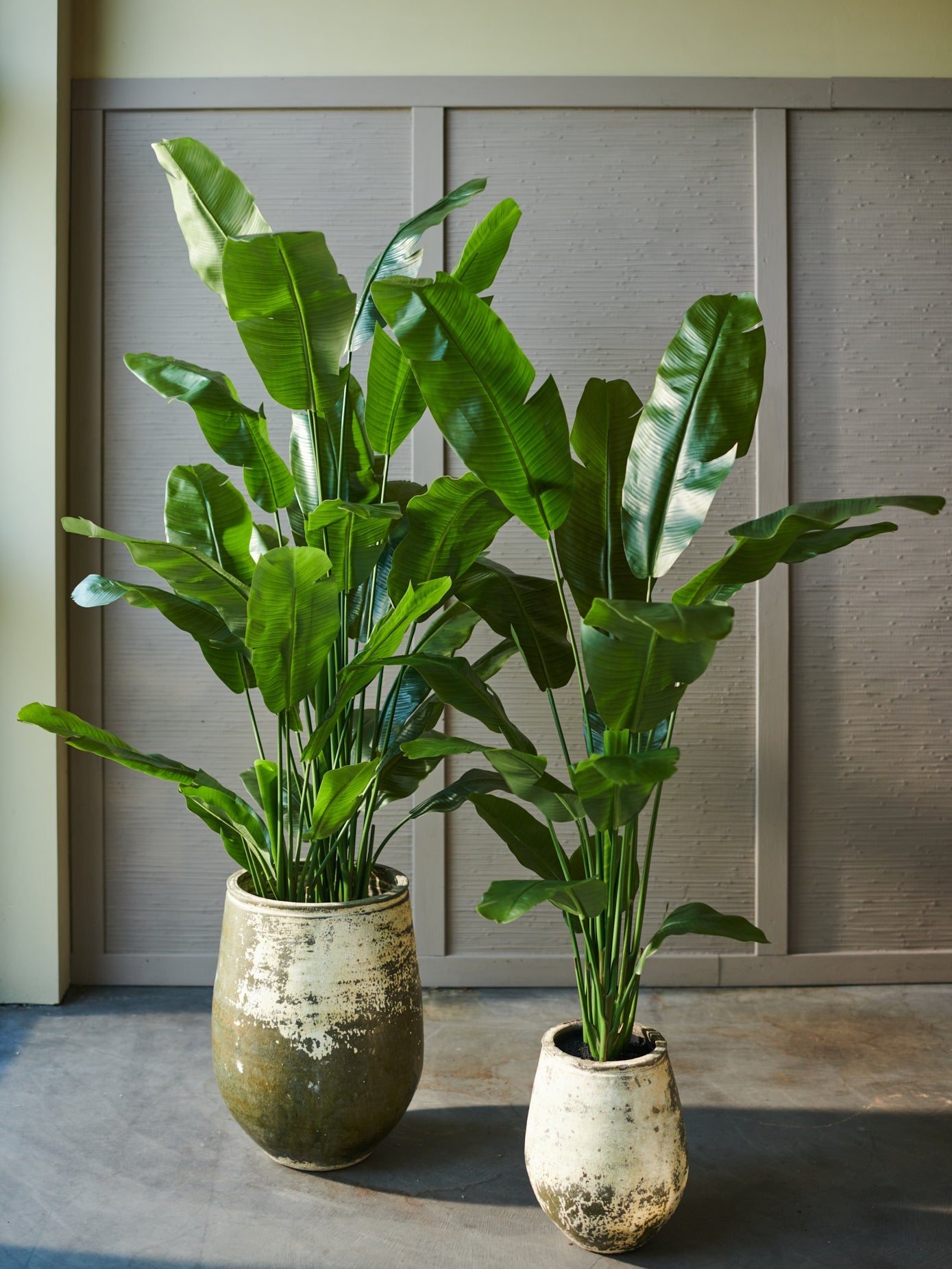 SILK-KA STRELITZIA GROEN 180 cm
