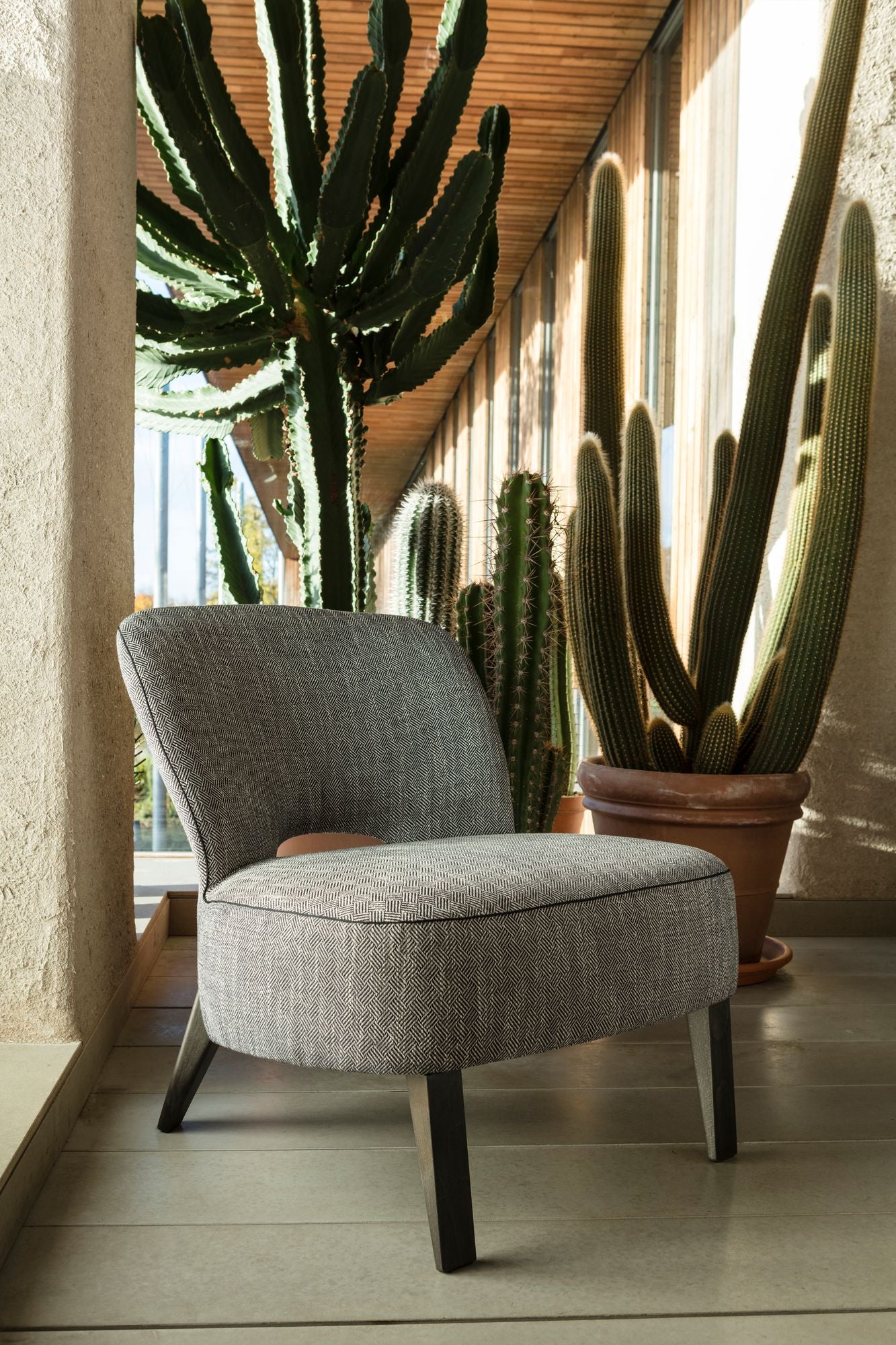 Low dining stoel Moon van Passe Partout — opgesteld in een interieur