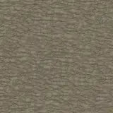 Energy Liver 10